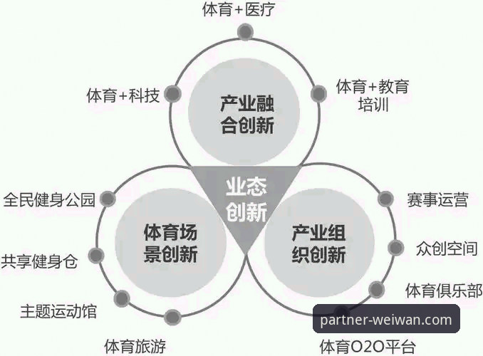 微玩体育合作伙伴完整指南：从平台选择到高效使用的创新路径